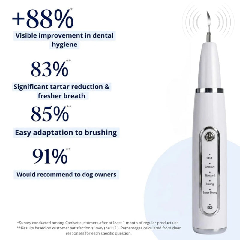 Ultrasonic Dog Dental Cleaner