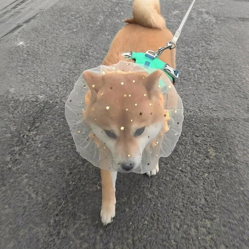 Breathable Dog Muzzle