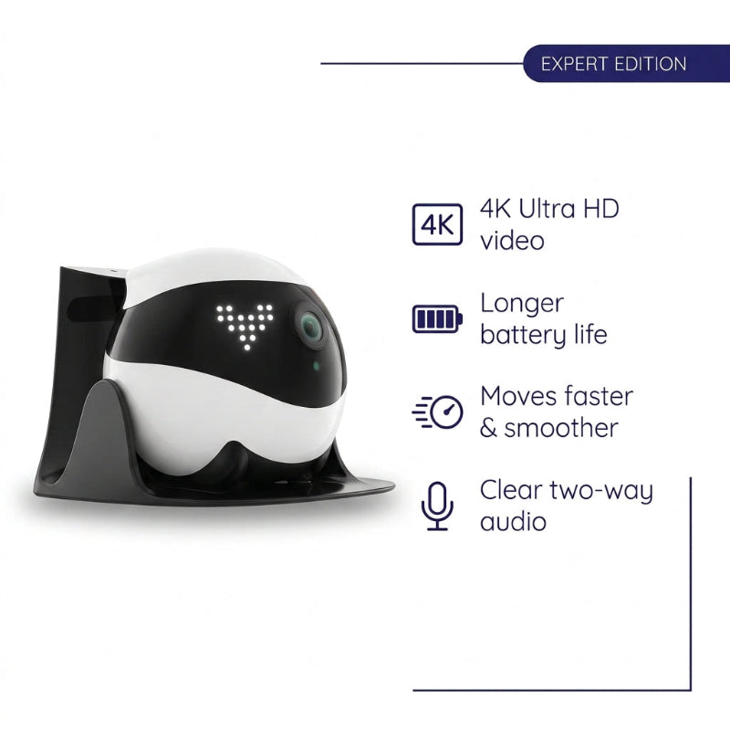 Smart Companion Robot