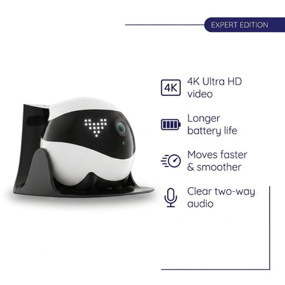 Smart Companion Robot