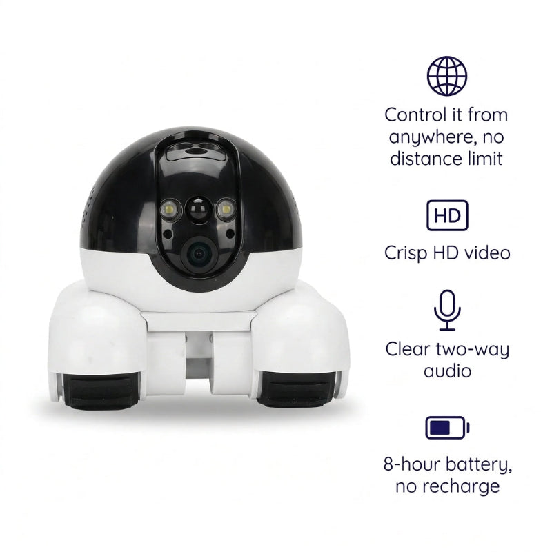 Smart Companion Robot