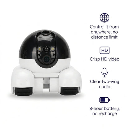 Smart Companion Robot