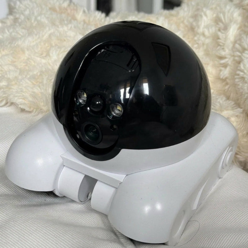 Smart Companion Robot