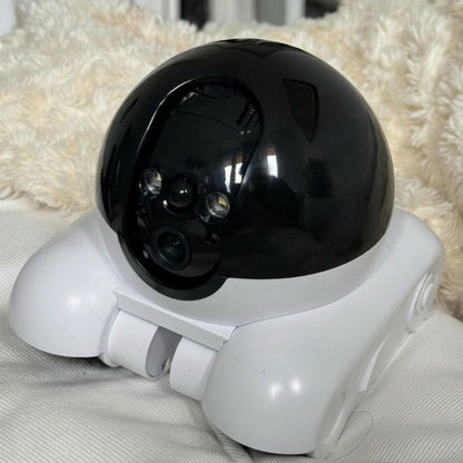 Smart Companion Robot