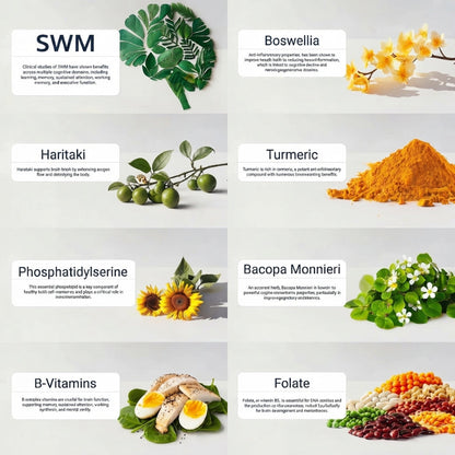 Brain Health Supplement