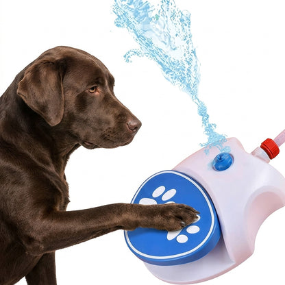 Paw-Activated Dog Water Fountain