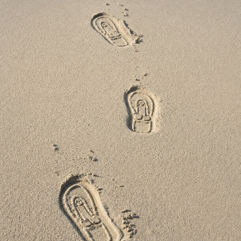 Funny Prank Flip Flops