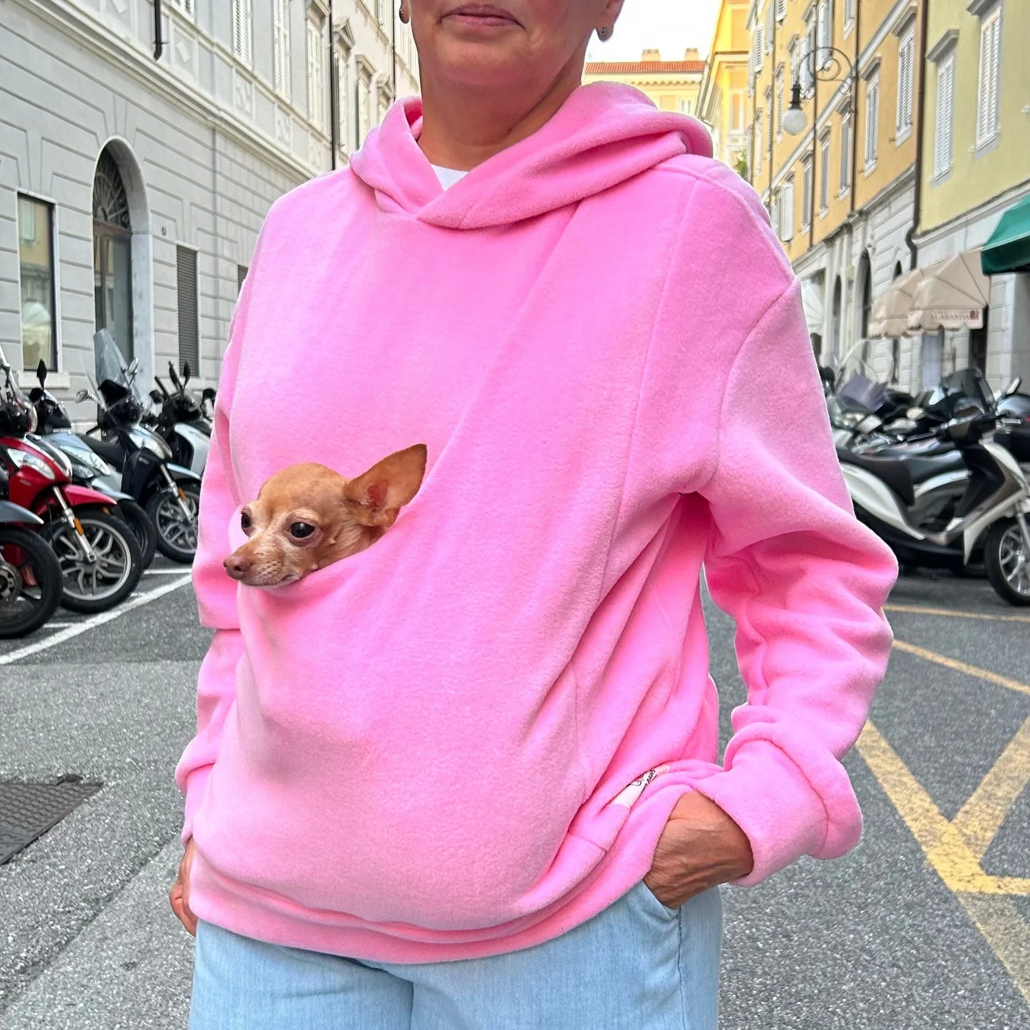 PawHug Hoodie