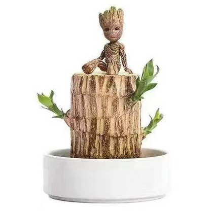 Brazilian Lucky Wood Set
