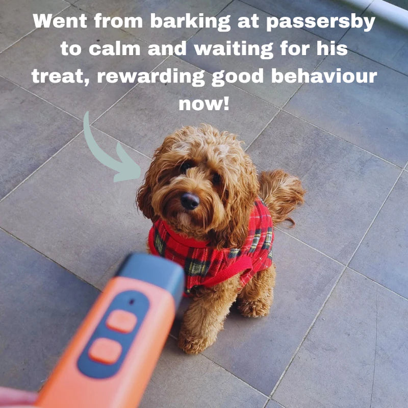 QuietPaws BarkButton-Portable Anti-Bark Training Device