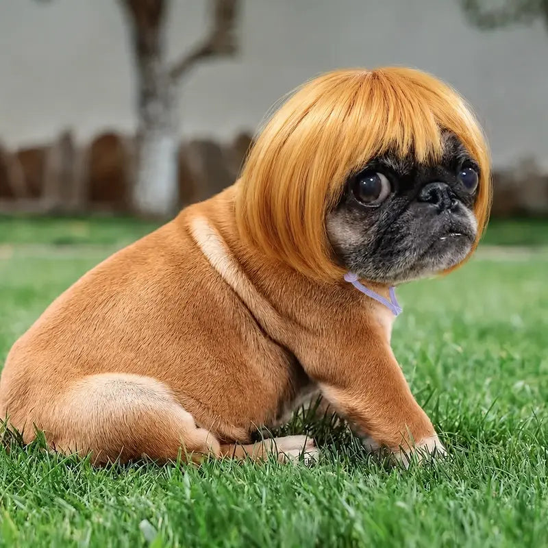 Funny Dog Wig Headband
