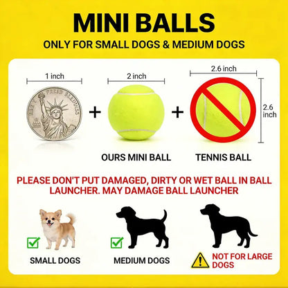 Automatic Dog Ball Launcher