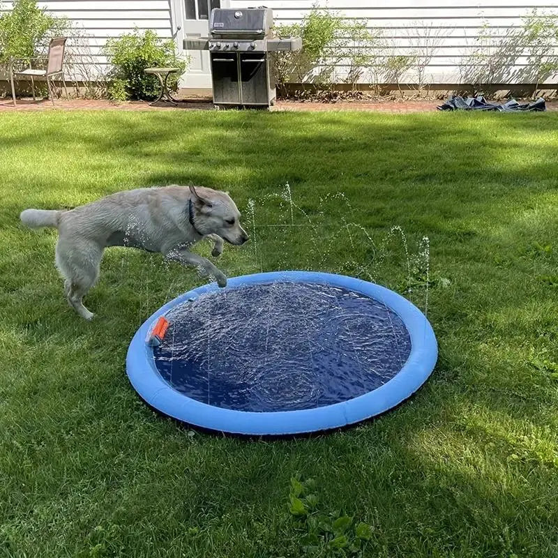 Dog Splash Pad Sprinkler