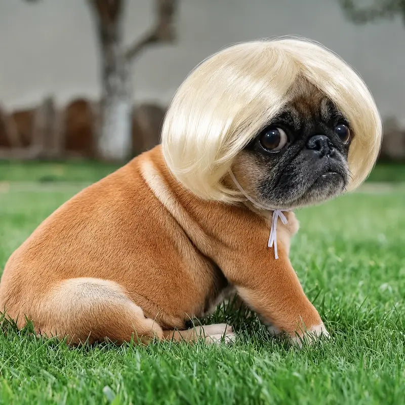 Funny Dog Wig Headband