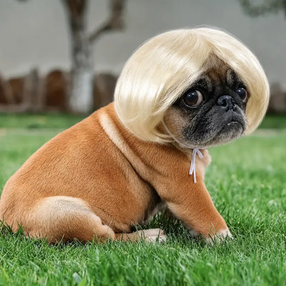 Funny Dog Wig Headband