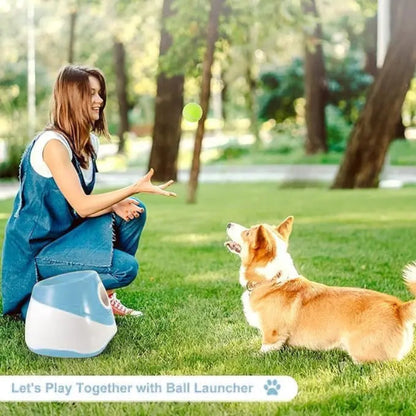 Automatic Dog Ball Launcher