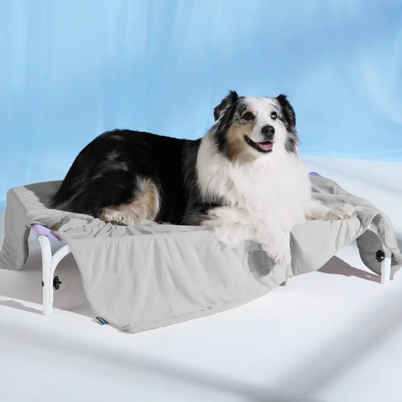 Cooling Pet Mat