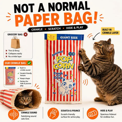 Large Kraft Paper Cat Hideout Bag