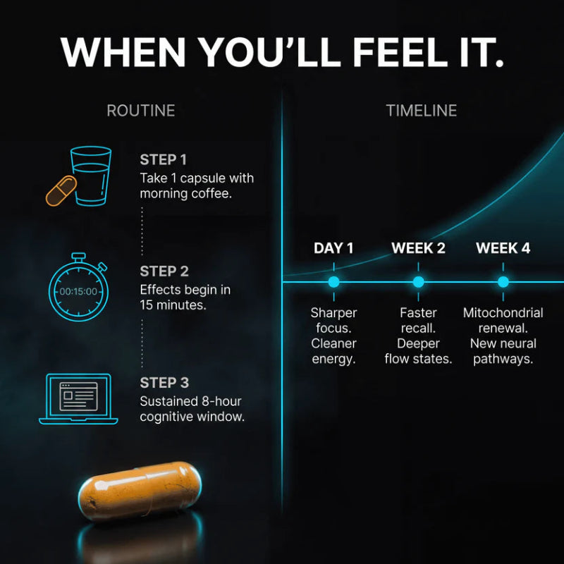Brain Focus Capsules