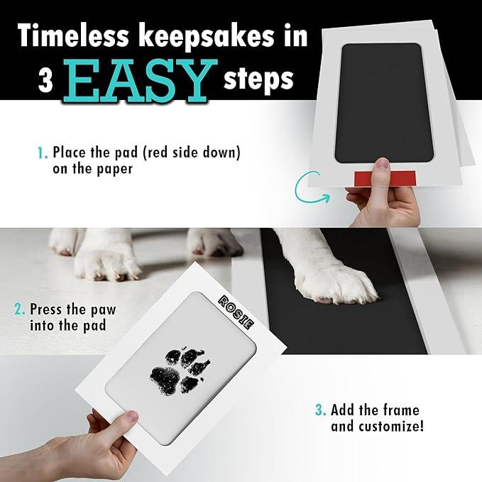 Pet Paw Print Kit
