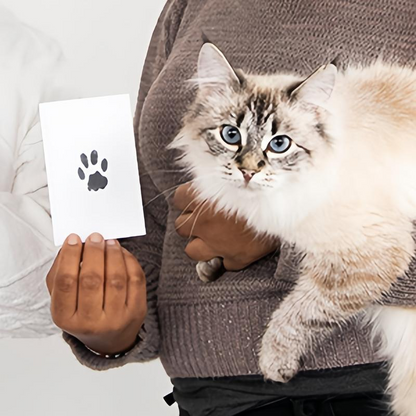 Pet Paw Print Kit