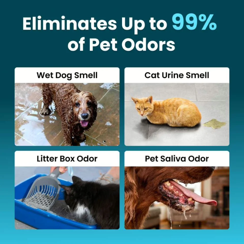 Pet Odor Eliminator