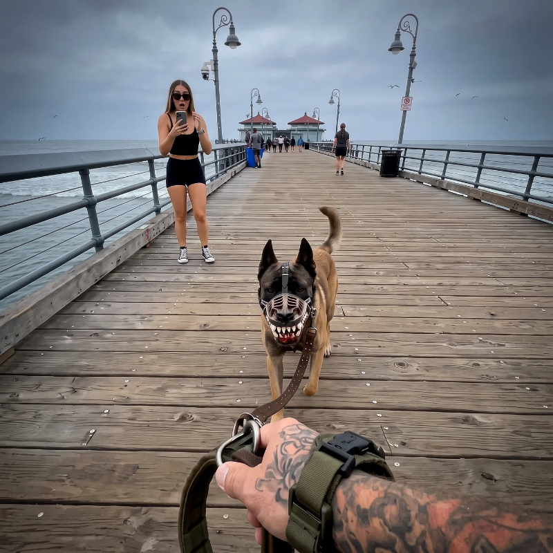 Fang Dog Muzzle
