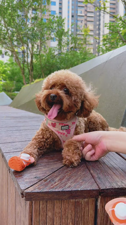 PawShield Protective Dog Boots