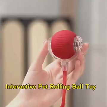 SmartChase Interactive Pet Ball