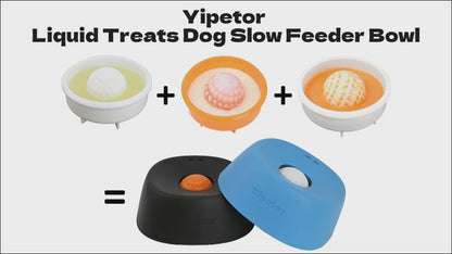 PawSafe Slow Feeder Lick Bowl