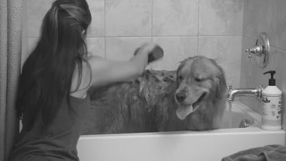 EasyRinse Pet & Bath Sprayer